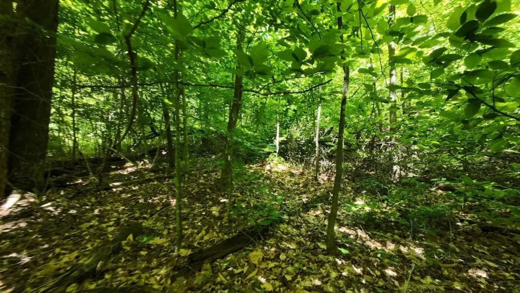 Picture 16