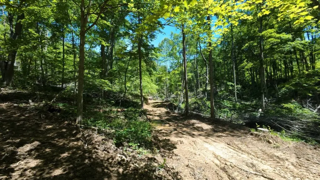 Picture 14