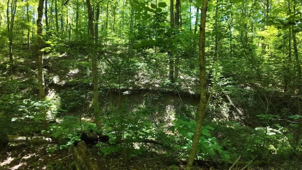 Picture 11