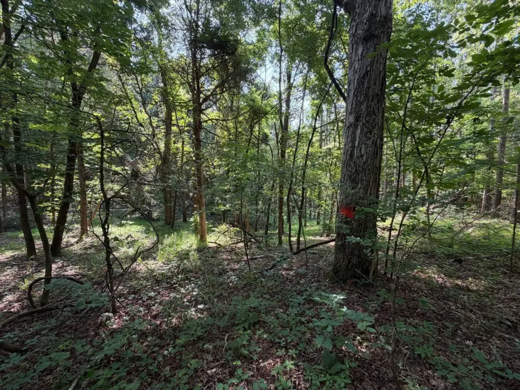Picture 20