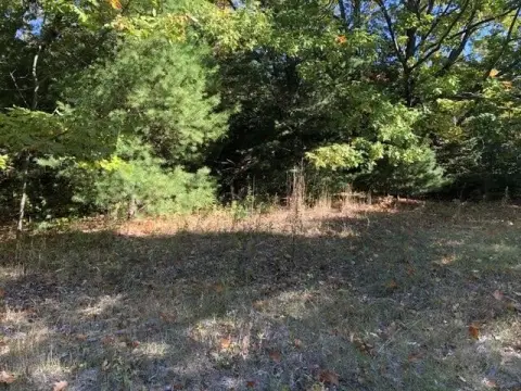 Mackinaw City Double Lot