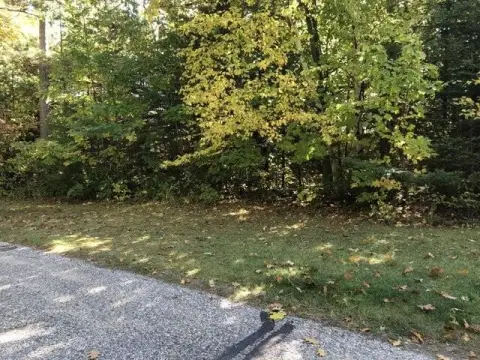 Mackinaw City Double Lot