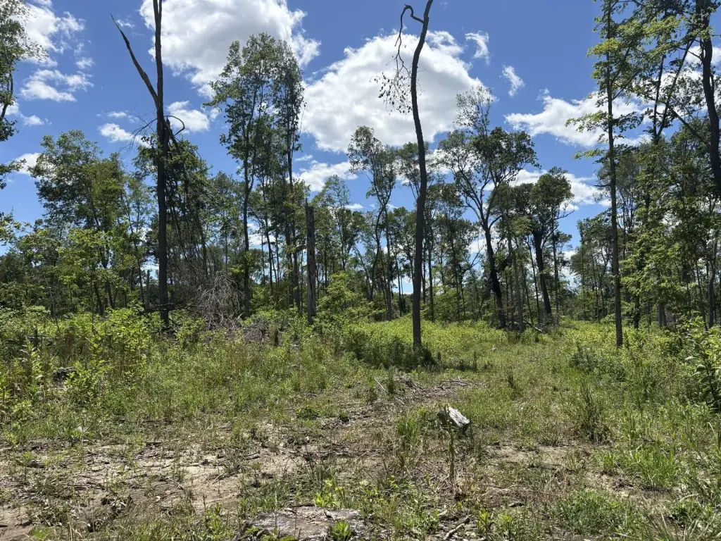 Picture 16