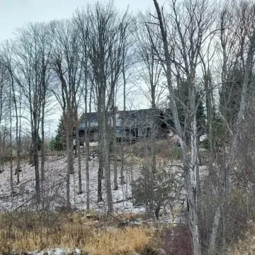 81+ Acres with Wolf Creek Frontage