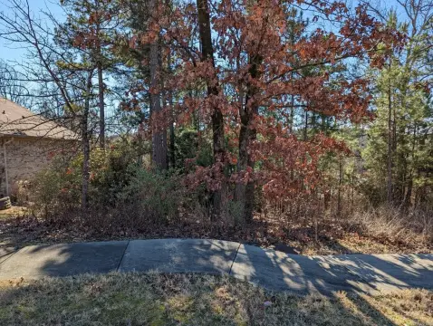 Residential Lot in Maumelle Valley