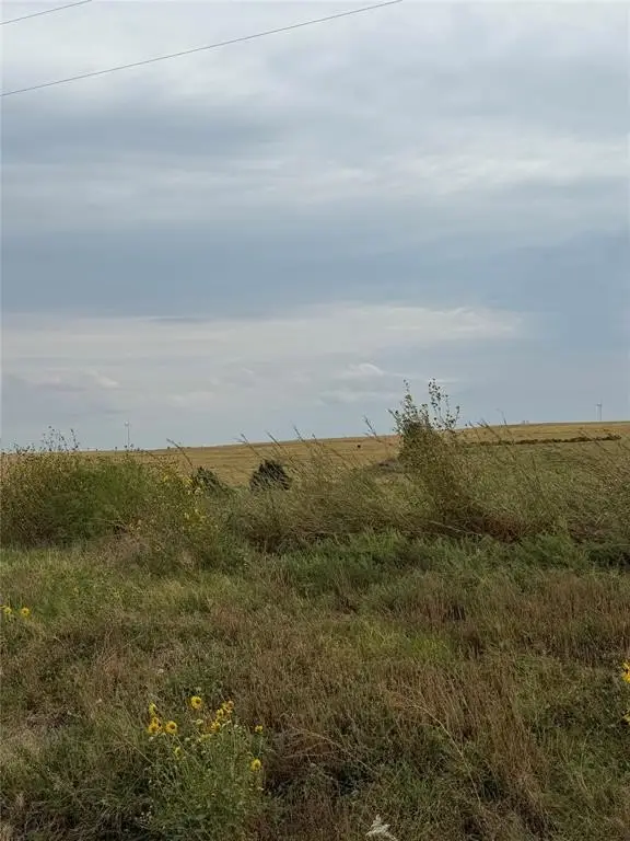 Picture 4