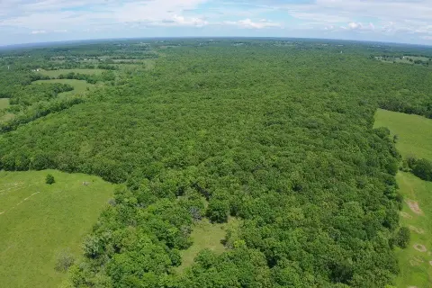 Benton County Farm and Estate