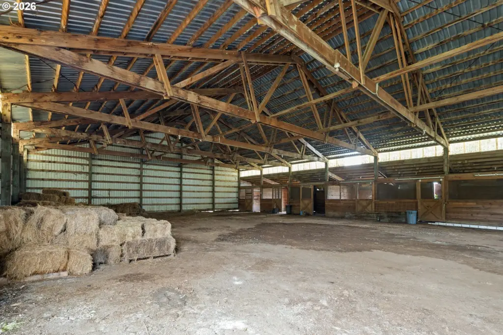Picture 16