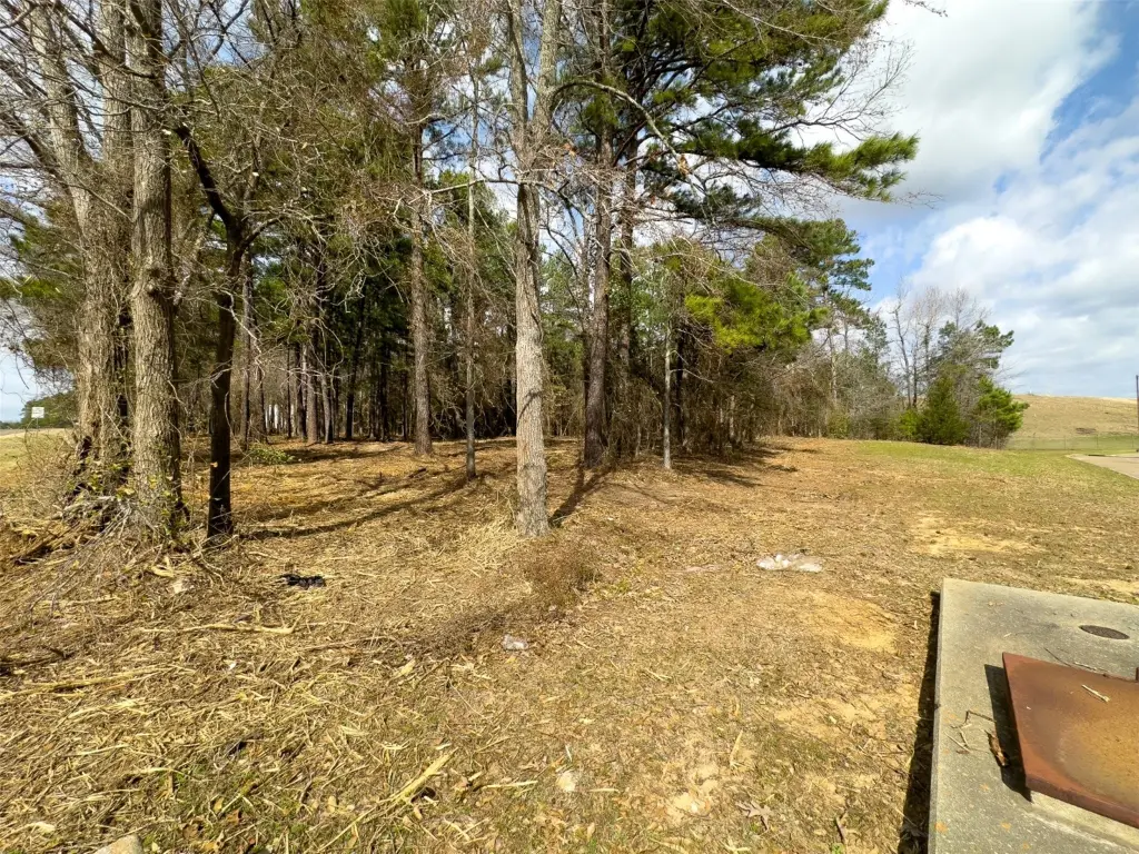 Picture 15