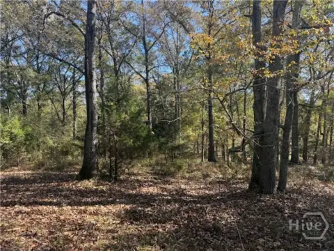 Residential Lot in Oconee County