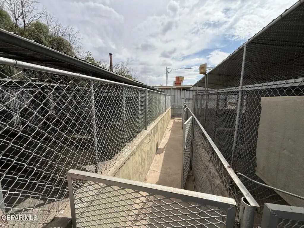 Picture 16