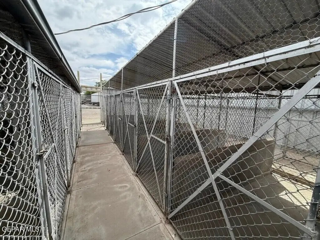 Picture 17