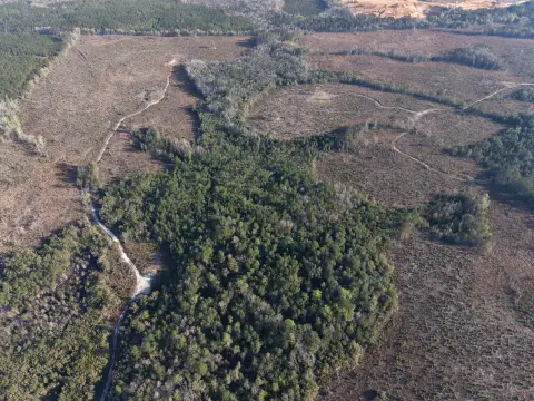 Holmes County Hunting and Recreational Land