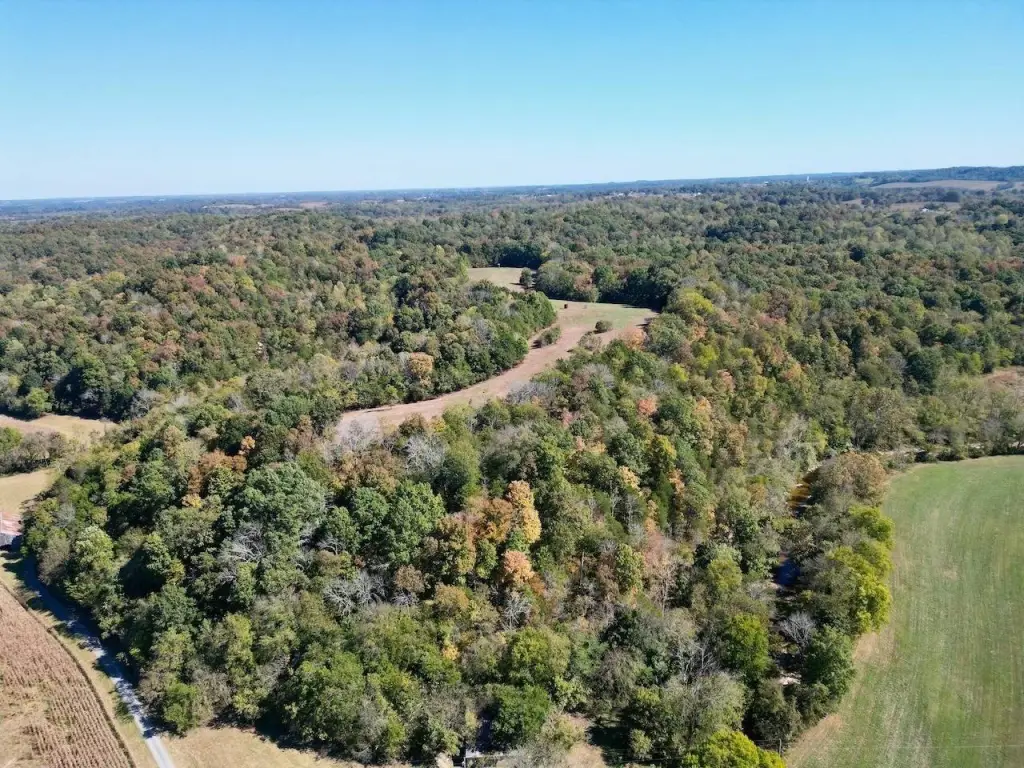 Picture 80