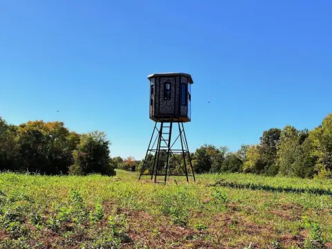 Wooded Hunting Land