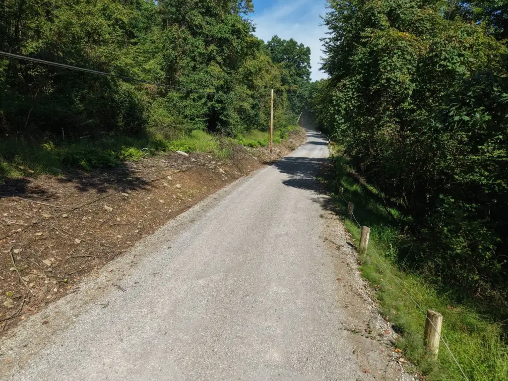 Picture 25