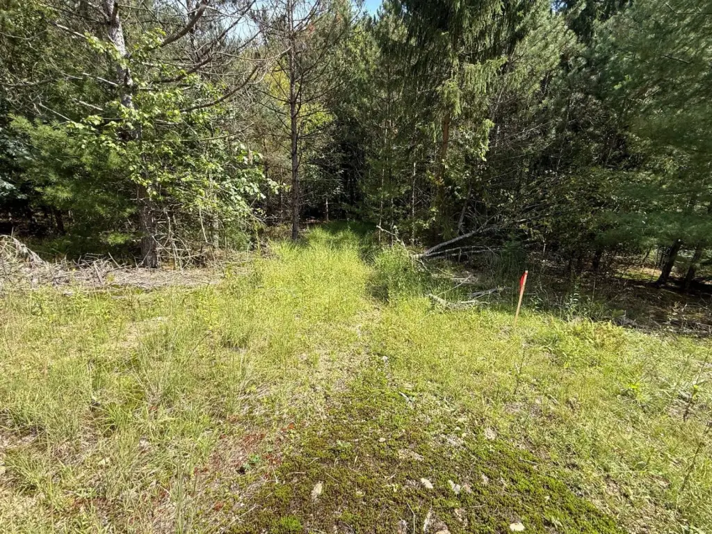 Picture 48