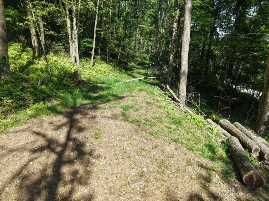 Picture 28