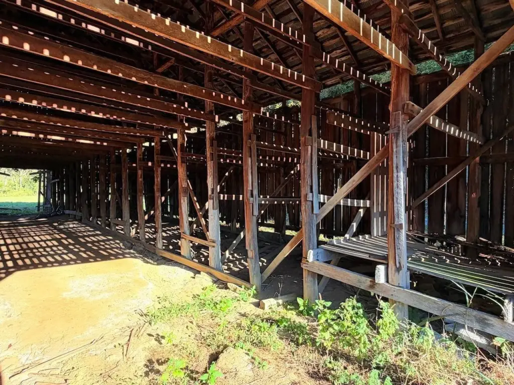 Picture 6