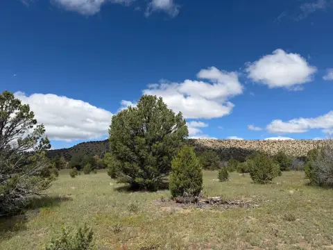 Hunting Land with Horse Pens