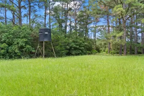 291 Acres in Bastrop County