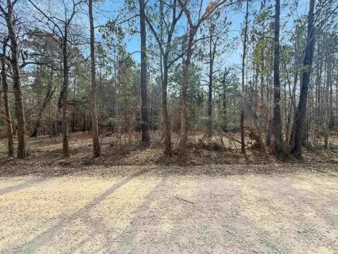 Unrestricted Land in Lumberton ISD