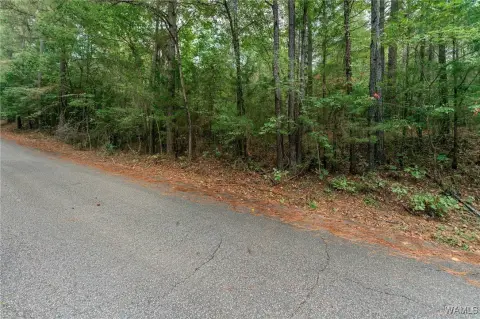Tuscaloosa Land with Road Frontage