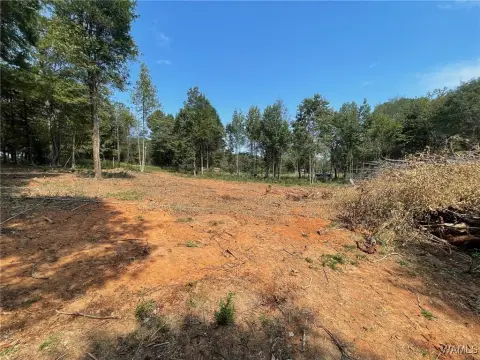 Wooded Lot with Cleared Homesite