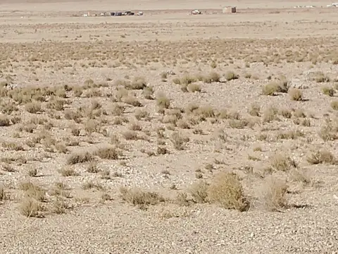 Land in Veguita, New Mexico