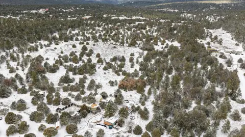 Wooded Land in Tijeras, NM