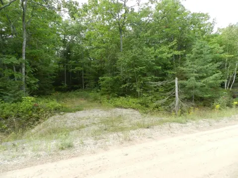 Wooded Lot Near Lake Huron