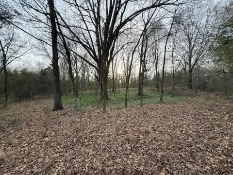 261 Acres in Unicorp/Eads, TN