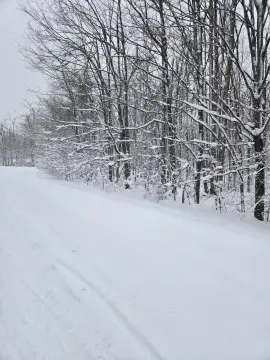 Vanderbilt Land for Sale