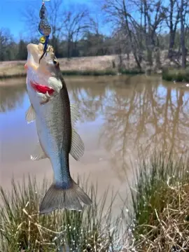 Land Near Lake Texoma