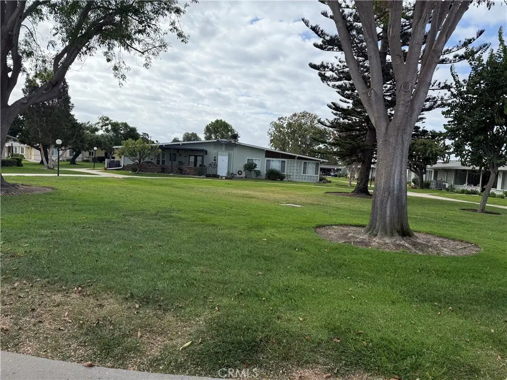 Picture 25