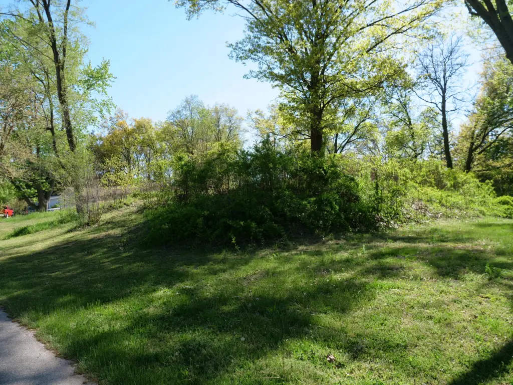 Picture 3