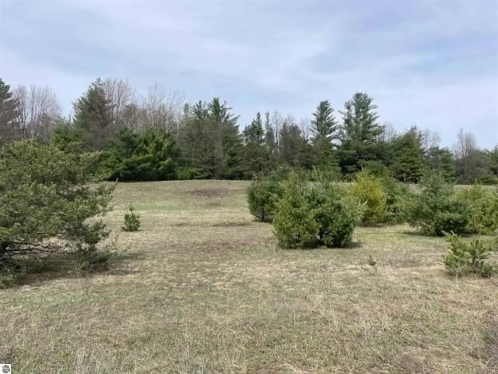 Picture 19