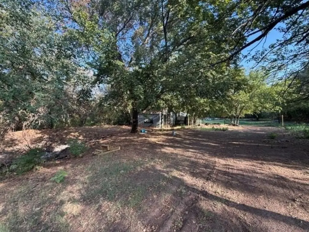 Picture 15