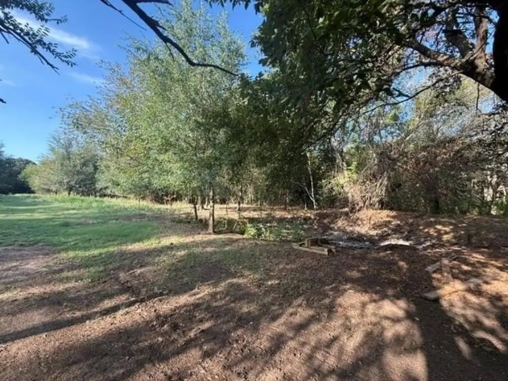 Picture 14