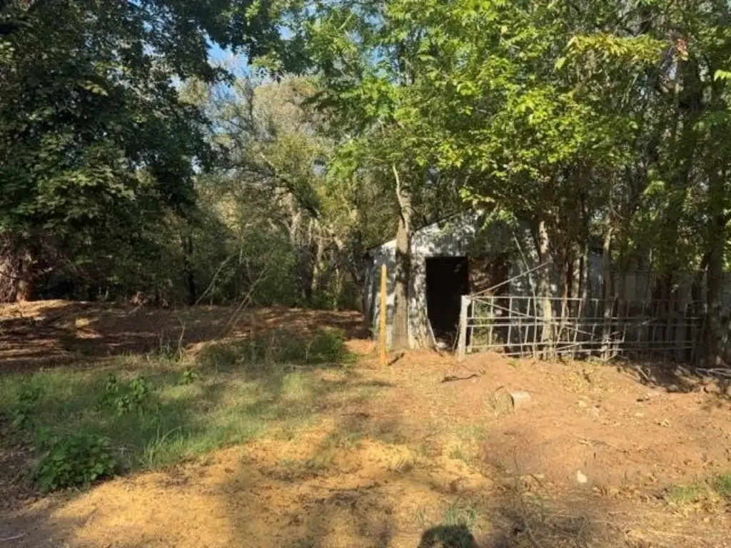Picture 11