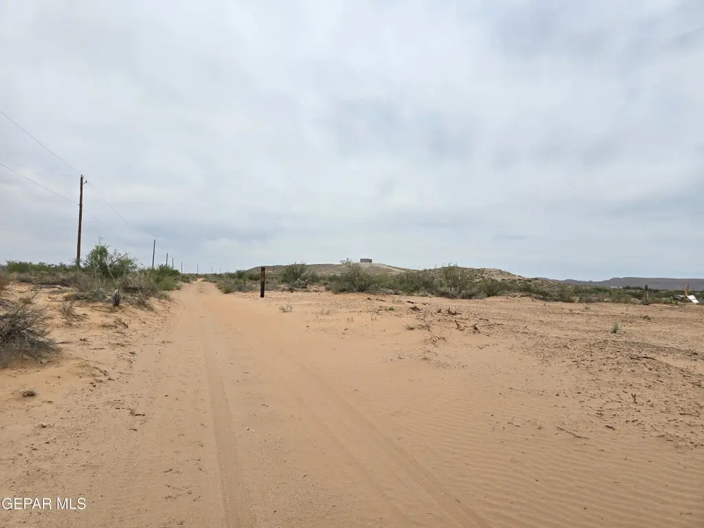Picture 6