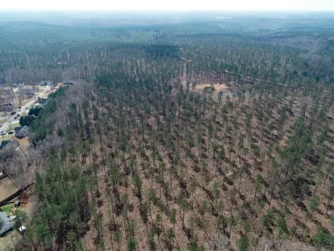 Large Wooded Land on South River