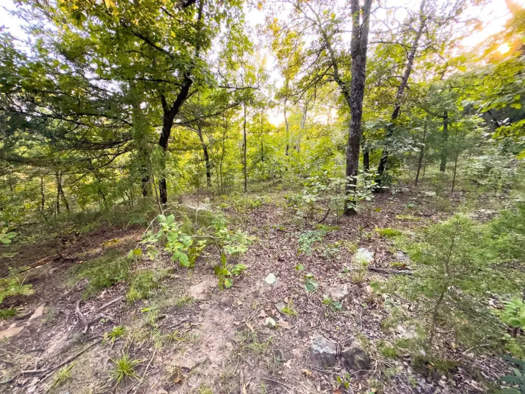 Picture 12