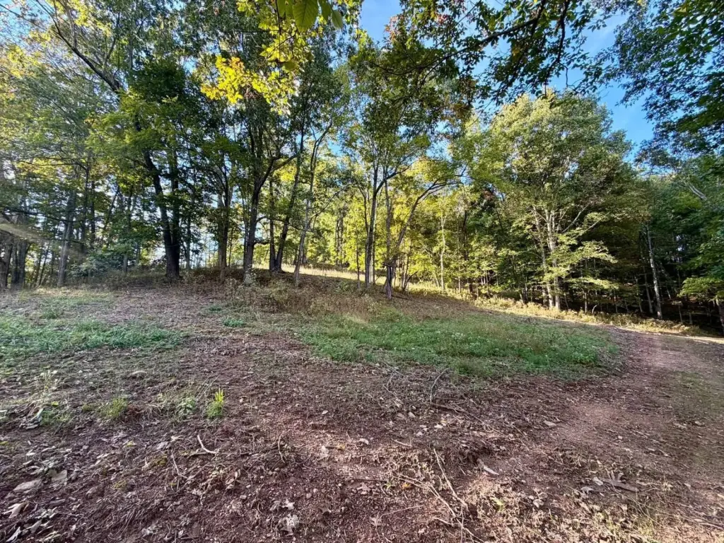 Picture 15