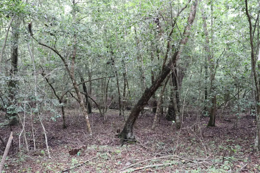 Picture 10