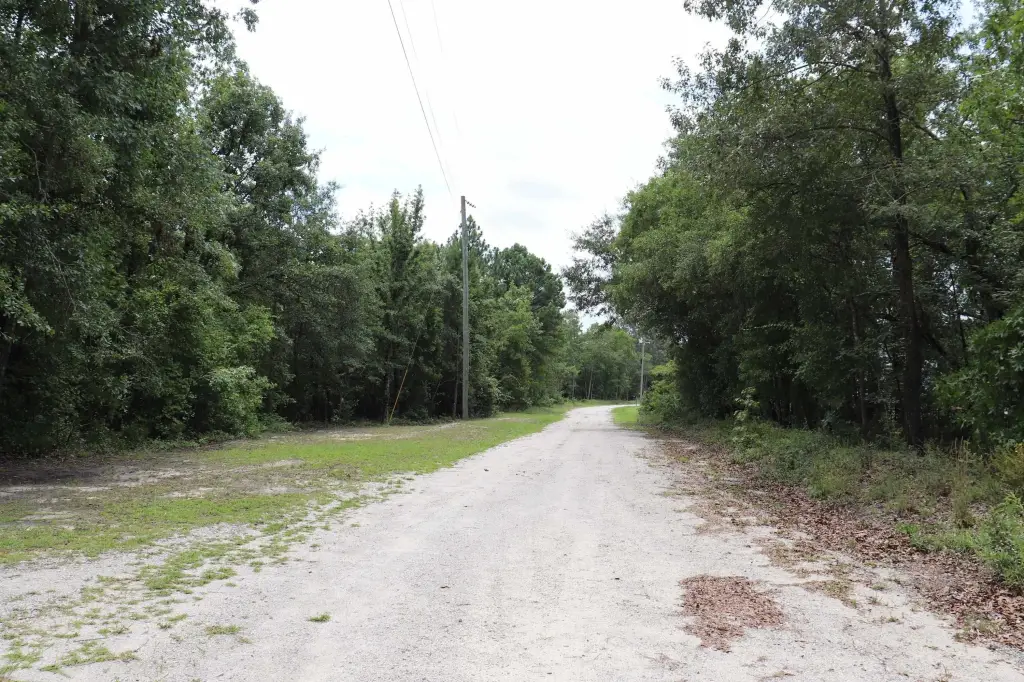 Picture 18