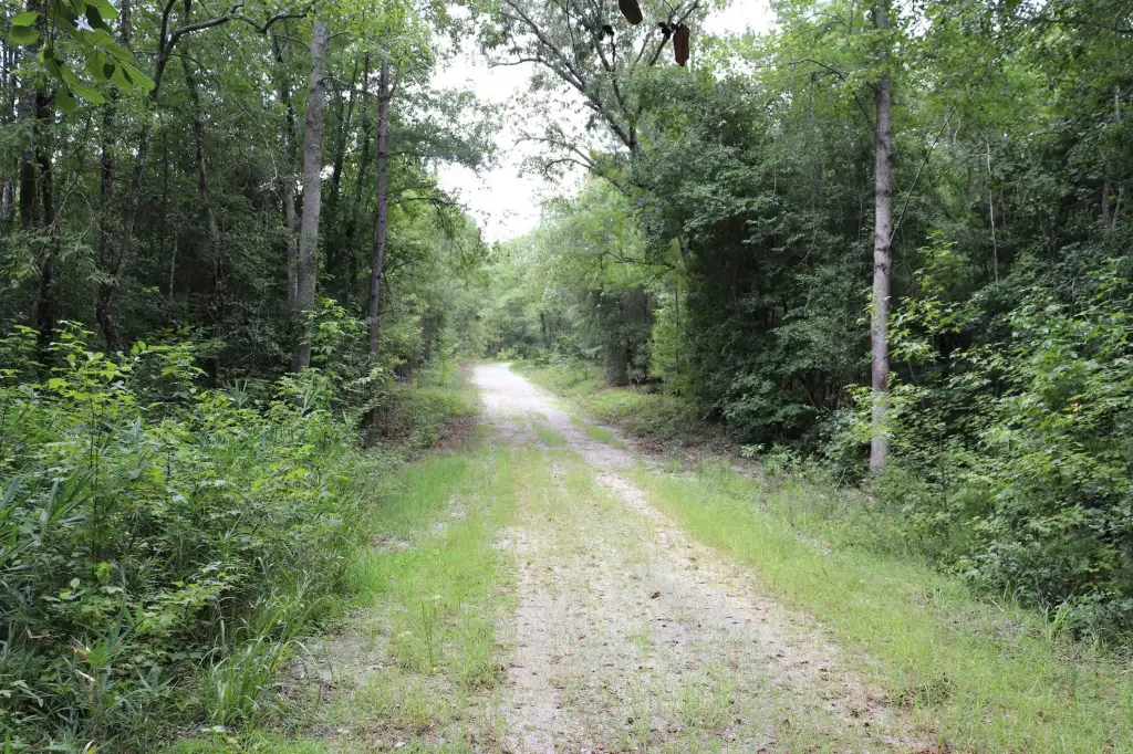 Picture 16