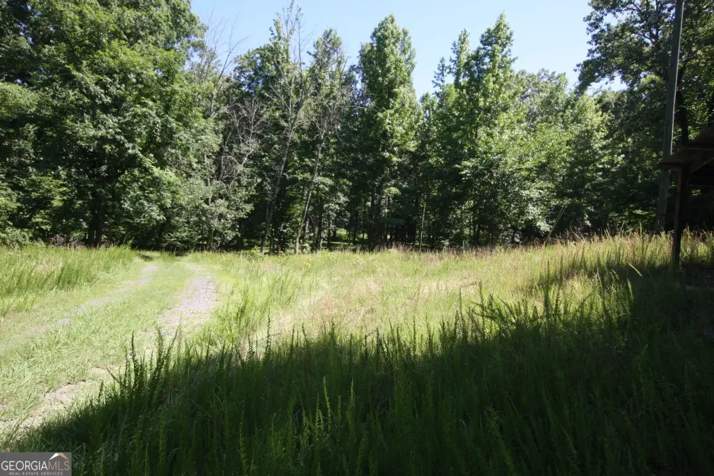 Picture 10