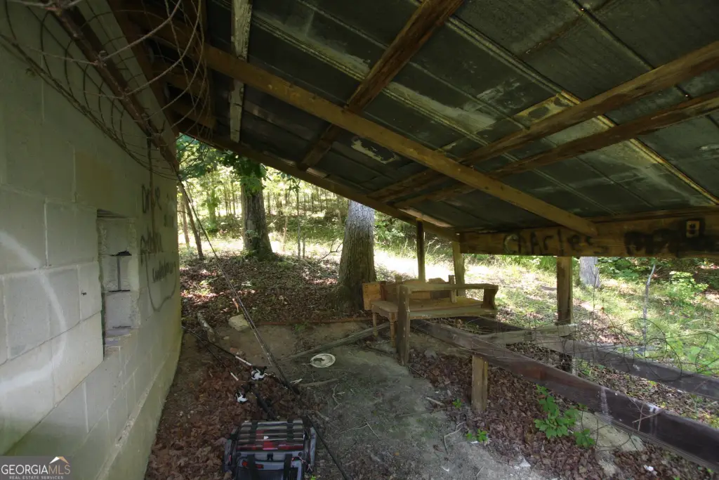 Picture 8