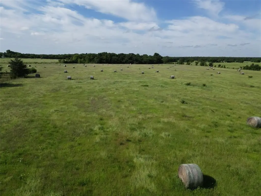 Picture 13